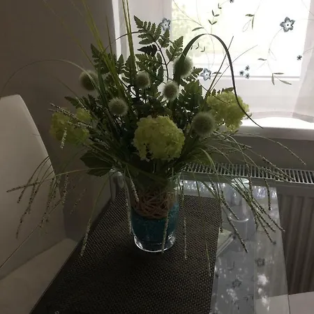 Homestay Privatzimmer, Private Wiener Neustadt